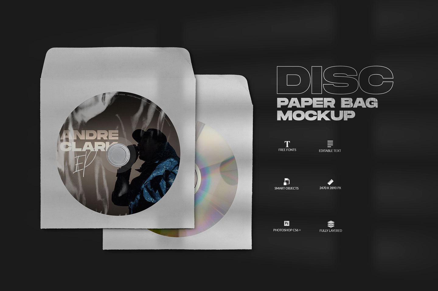 Disc Paper Bag